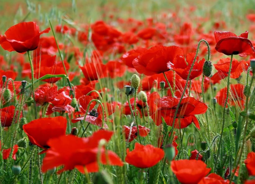 SCH Contact Centre tweet media