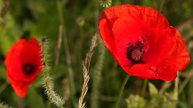 Andrew & Co LLP (@andrewllp) on Twitter photo 