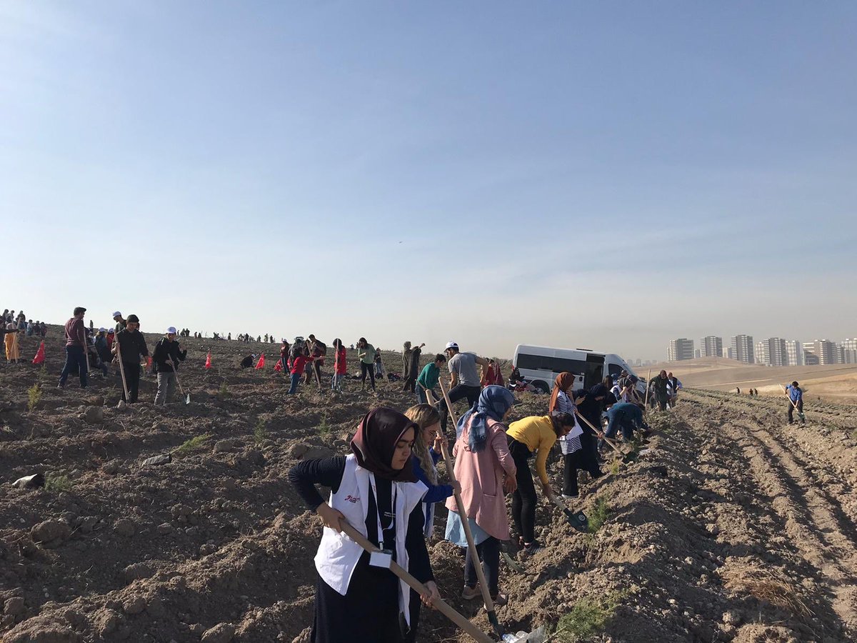 gencyyd's tweet photo. Yeryüzünde umut yeşeriyor, #11Milyonfidan dikim etkinliğinin son dakikalarında çalışmalarımız devam ediyor. #GeleceğeNefes #İyilikİçinGençlik https://t.co/QvIheQ4uBT