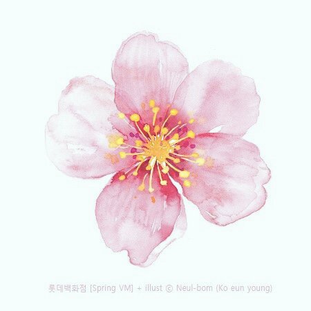 Vip_TKJ18's tweet photo. 🌸 🎶 ลอย ลอย ลอยกะทง...🌸
⛅ #BIGBANG ⛅
🌸 #FlowerRoadWeek 🌸
🌸 #ThankGodItsSunDae 🌸 https://t.co/xA7qnMFuJo