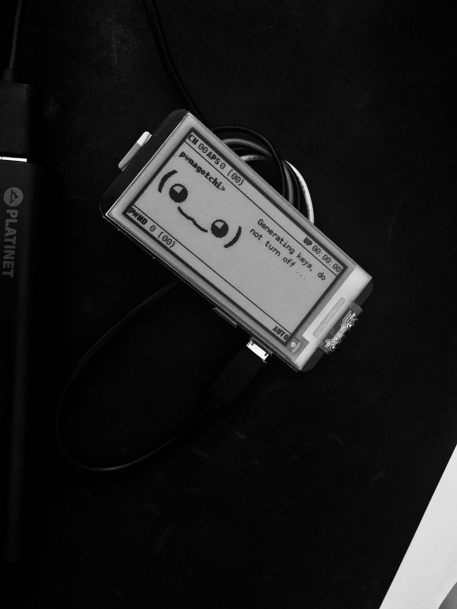 Pwnagotchi Generating Keys Power Light Pwnagotchi Generating Keys Power Light