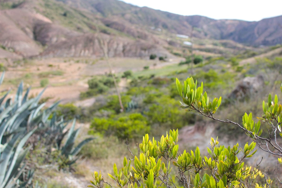 Terrojo (@terrojo_) on Twitter photo 