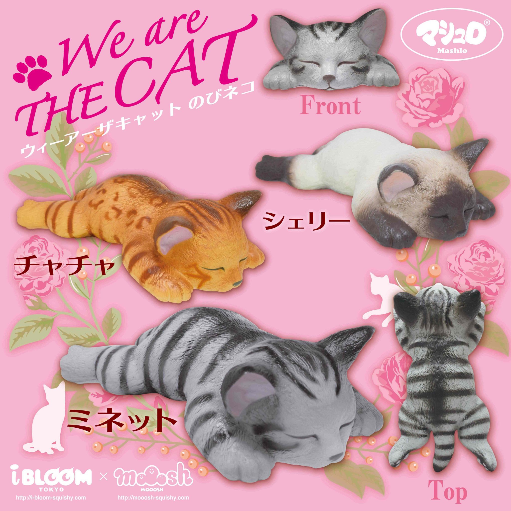 ブルーム スクイーズ ウィーアーザキャット まるネコ 猫 BLOOM ウィーアーザキャットまるネコ | アイテム | 株式会社ブルーム