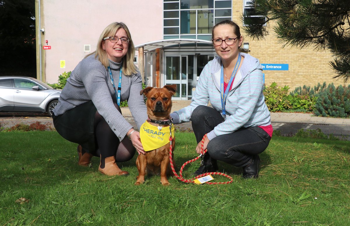 Our patients over in <a href="/NLincsIsGreat/">N&NE Lincs are Great</a> have been embracing a #new four-legged #therapyservice. 

Find out how Daisy our new #PATDog has been bringing joy here: bit.ly/2Q7Ar1S

<a href="/DaisyThePatDog/">DaisyThePatDog</a> <a href="/FlicDouce/">Felicia Douce</a> #ScunthorpeIsGreat