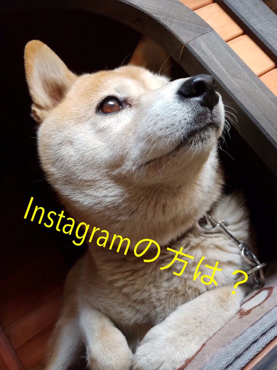 obryso's tweet image. 宣伝本部長おばらはるより

こちらが本日の投票ページになります
yoshimotozaka46vote.com/2ndterm/2ndrou…

そして まだの方
固定ツイートの いいねとRT

本当に よろしくお願い致しますです

こっちも是非 いいねしてくださいね
instagram.com/p/B4mQreLlcSc/…

#吉本坂2期生オーディション
#我が家のアイドル #おばらはる