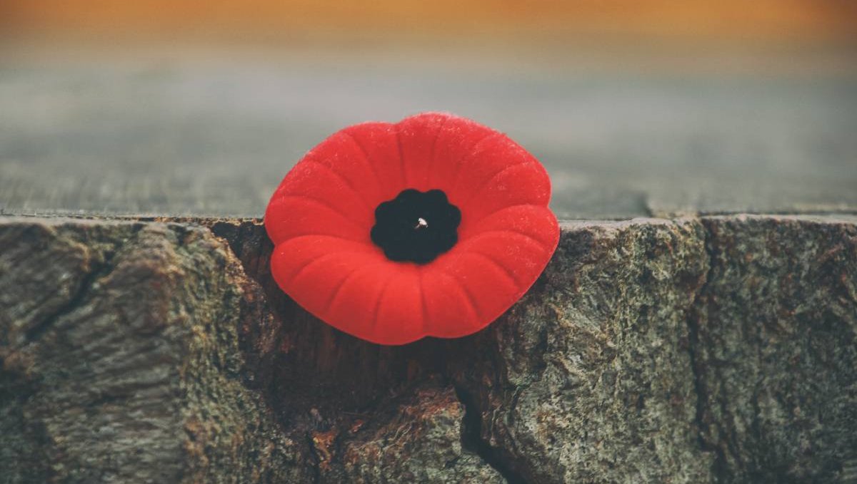 Lest We Forget.

Today we remember those who have been lost in conflicts across the globe.

Today we remember them all.

#LestWeForget
#Rememberance
#OWBTS