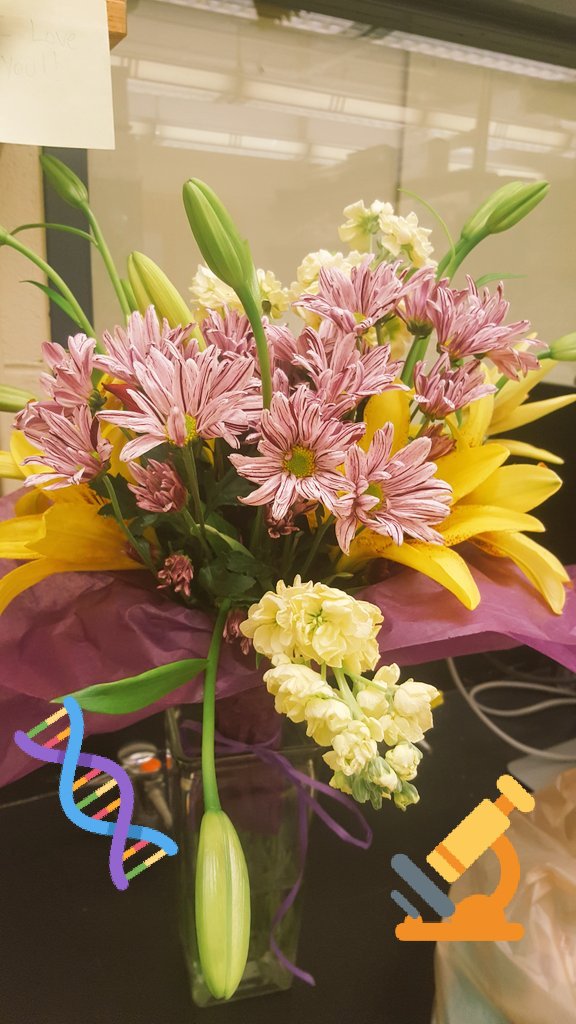 What a beautiful surprise from my lab family! 😊 I don't know how I survived my preliminary exam without their amazing support! 🎉 Finally a PhD Candidate! #BoilerUp #WomenInSTEM