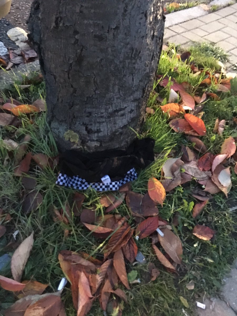 give a man a pants he has a pants for a day                                   teach a man to plant a pants tree he has pants for life