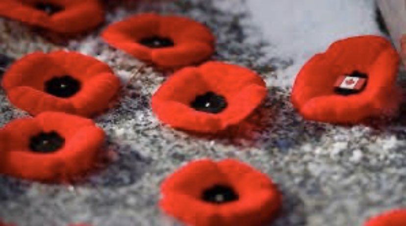 RSockeyes's tweet image. Today we remember the many that served.... thank you
