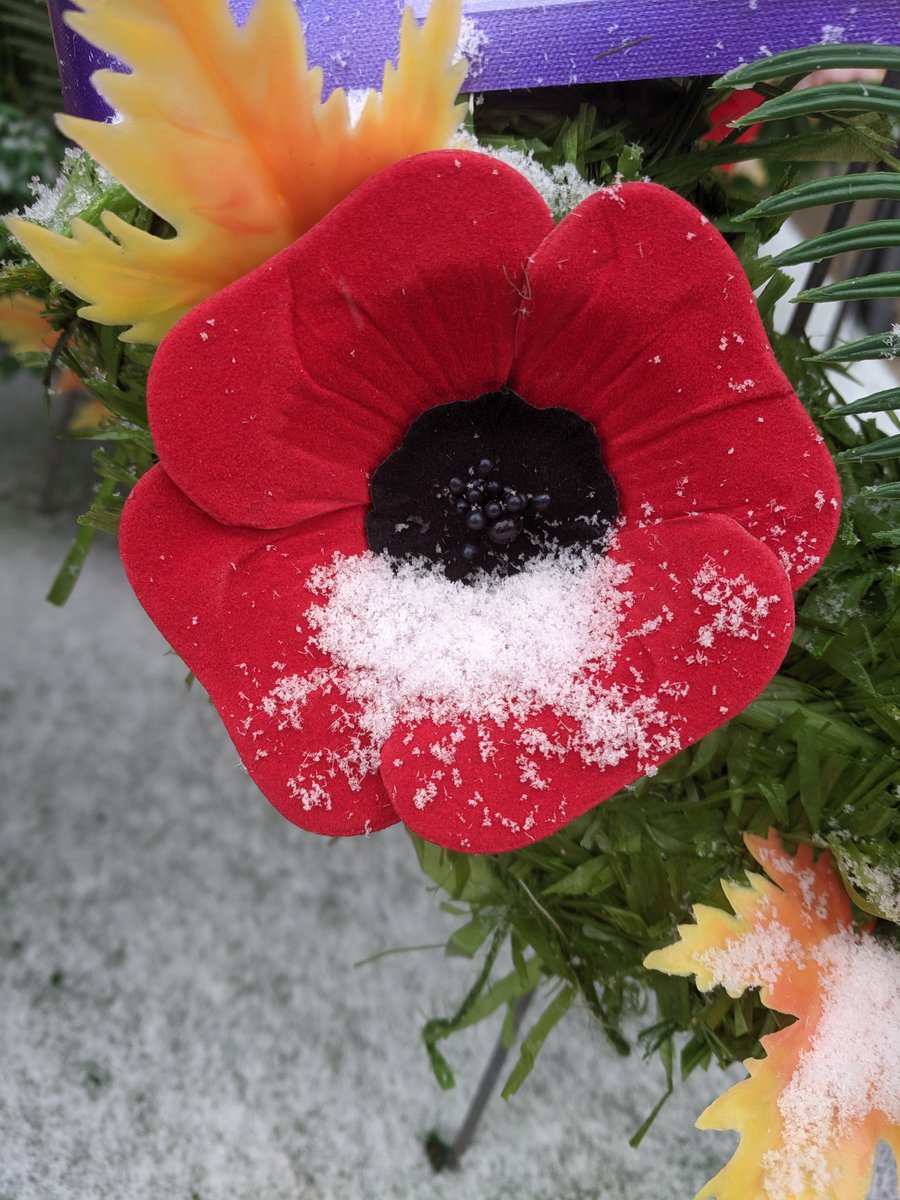 Today we remember and honour all those who bravely sacrificed so much for our country. 
Lest We Forget.

#LestWeForget  #CanadaRemembers