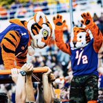 Photo by The Tiger (@TheTiger_CU)
