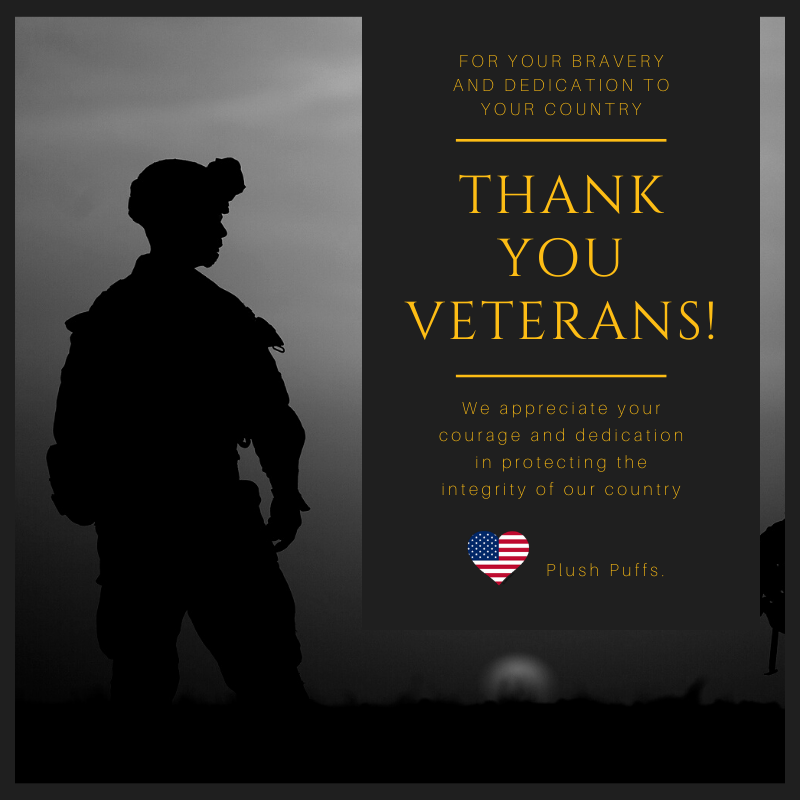 plushpuffs's tweet photo. Thanks Vets, for all you have done for the USA! https://t.co/yO1OVGKPQd