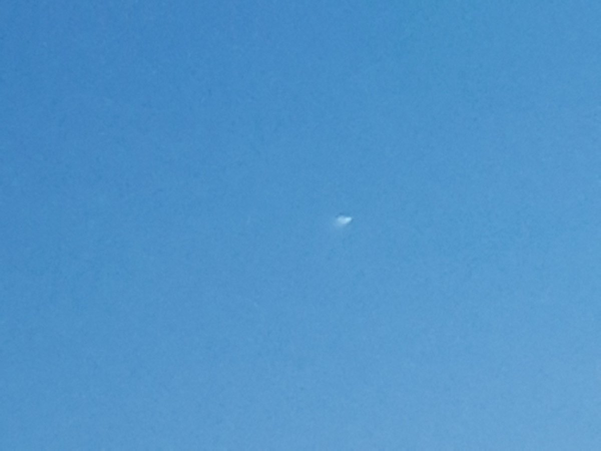 Dknighter tweet media