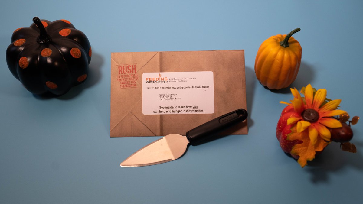 As Thanksgiving approaches, Feeding Westchester is working harder than ever to end hunger. We customized their envelope to feature some of the sobering stats about hungry families in Westchester.

Learn More: feedingwestchester.org