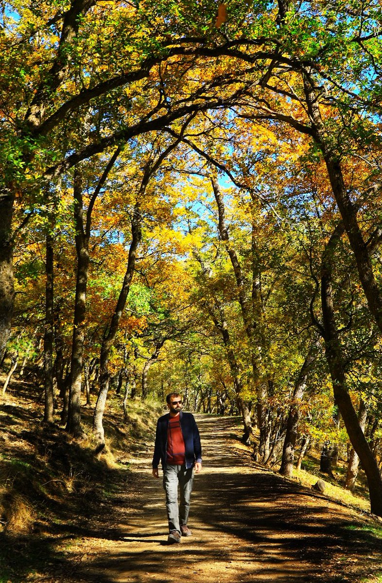 İsmail ARABOĞA (@ismail_araboga) on Twitter photo 