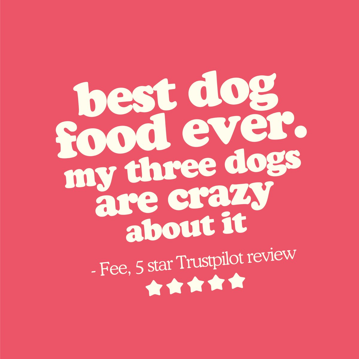_differentdog's tweet image. Another wonderful Trustpilot review! ⭐️ Who else's dog is crazy about their Different Dog food? 🐶😋⭐️

#differentdogfood #differentdog #ukdogfood #freshdogfood #naturaldogfood #ukdogsofinsta #handcookeddogfood #trustpilot