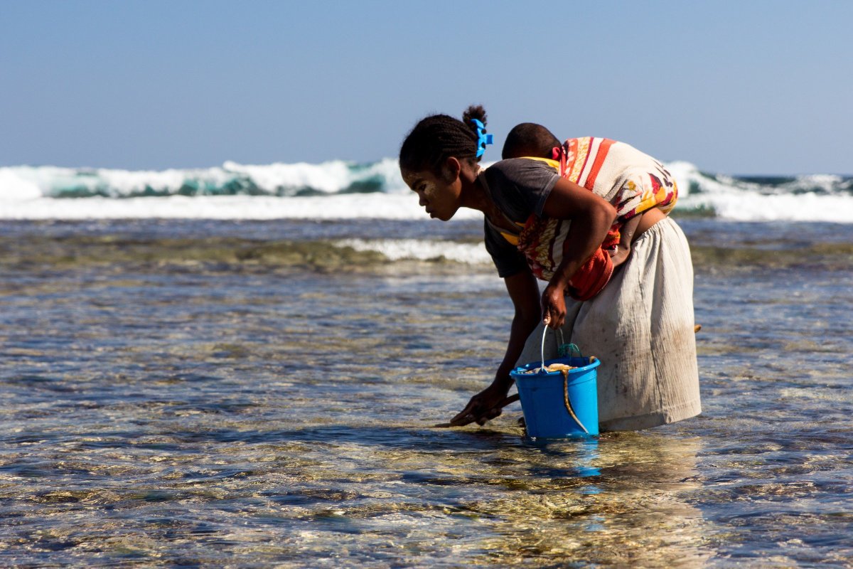BlueVentures's tweet image. Our #NewResearch published in Global Environmental Change finds that a holistic rights-based approach is key to unlocking community engagement in #MarineConservation 
Full story 👉 bit.ly/2ryGxhq
#integrateddev #popenviro