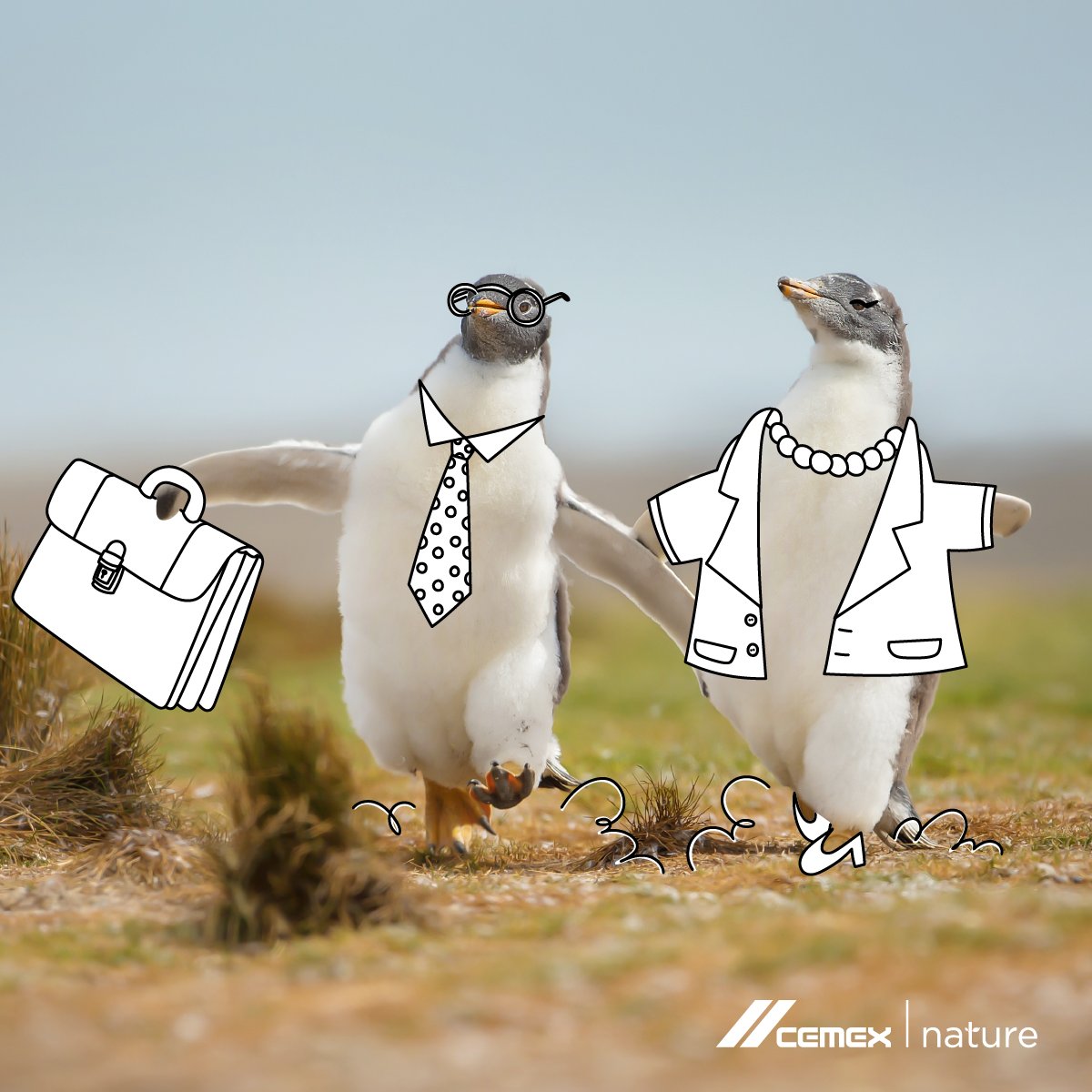 Let’s channel these penguins’ energy and make it a great week! Gentoo Penguins, like this pair, are awkward on land but graceful underwater, and can make up to 450 dives a day looking for food. 😮🐧What would you caption this photo?