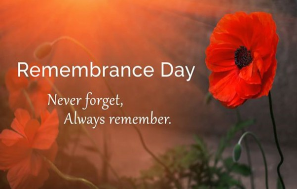 ukalpaca's tweet photo. #neverforget #poppy #remember #november #lestweforget #thankyou #silence #respect https://t.co/L8KX4yRzCX