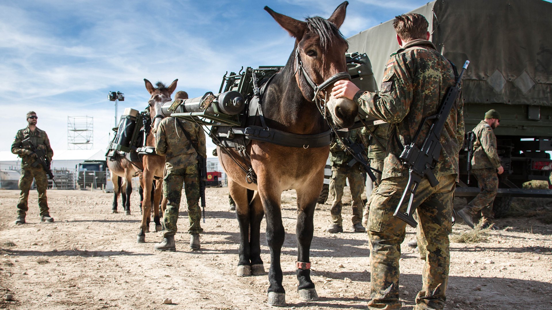 تويتر けるちゃ على تويتر ドイツ連邦陸軍第23山岳猟兵旅団の隷下部隊の一つ第230輜重駄獣運用教育センターの働く動物たち本当に好き T Co Lc2kuqomaq