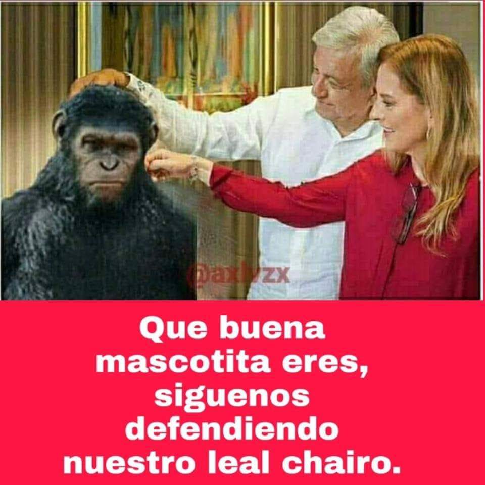 caroju19's tweet photo. @forozcolg @lopezobrador_ Ahí te van tus croquetas!! https://t.co/xOZtjadsJA