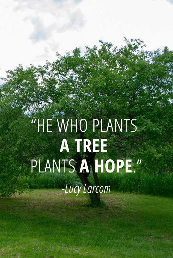 IQSK_Official's tweet photo. Join the IQSK fraternity on 16th Nov as they engage in tree planting at Kereita Forest.
#adoptaseedling
#IQSK@25years https://t.co/EYRKGcdA9Q