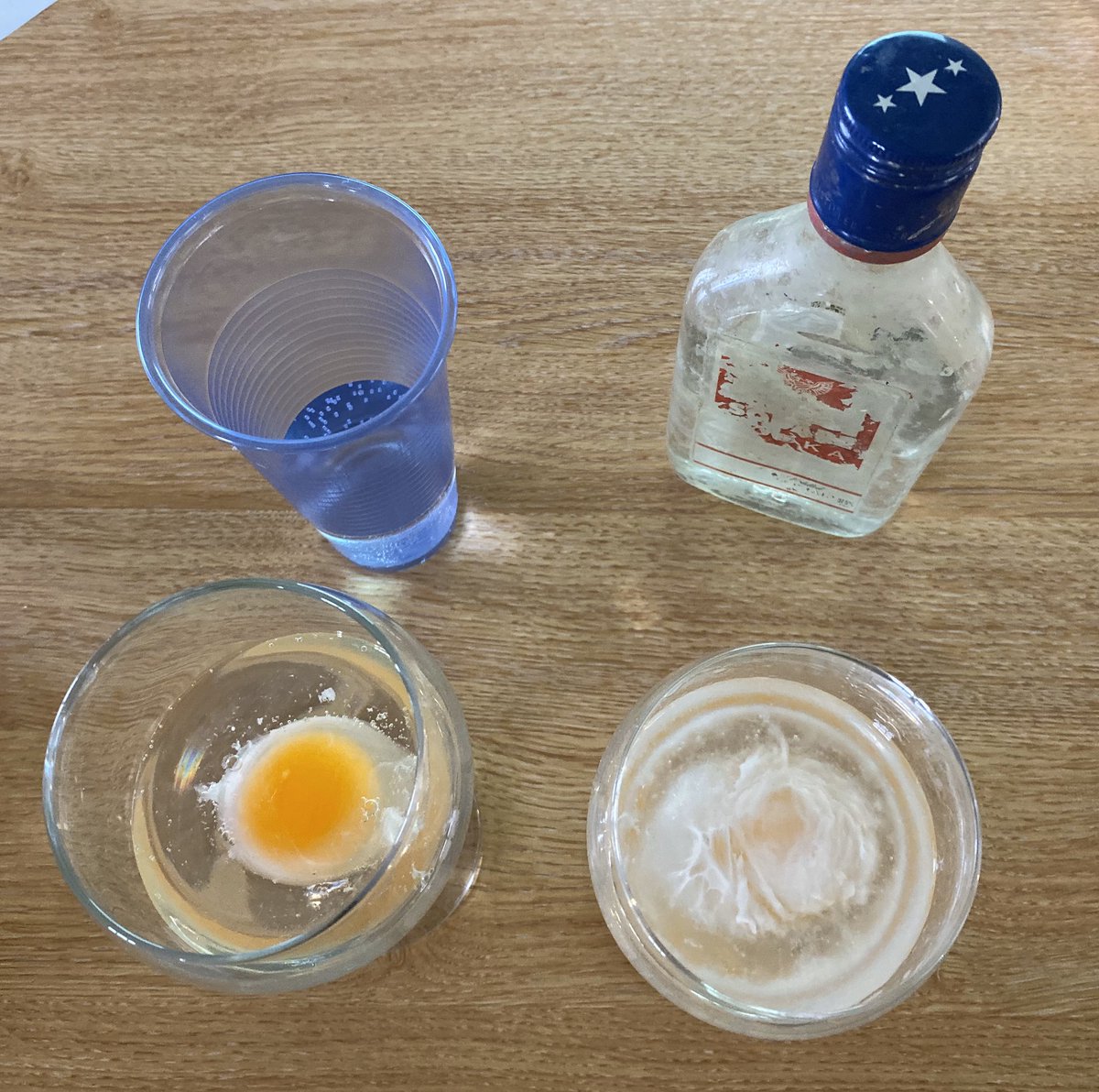 Acorn Recovery on Twitter "The egg experiment! Alcohol V Water on a raw egg... 3 hours later