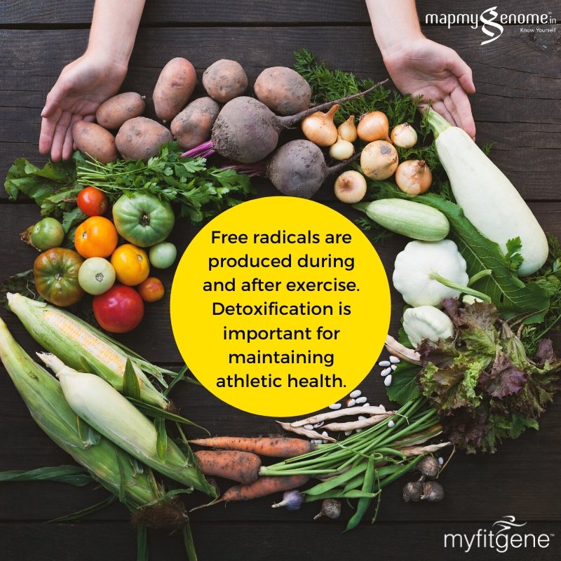 mapmygenome's tweet photo. Genes regulate #enzymes & #detox mechanisms in your body. Unravel your #DNA to learn about #antioxidant requirements. #GetfitwithMyFitGene -https://t.co/8WPLv04tu7
#Myfitgene #Fitnesstips #ExerciseTips #Nutrition #Diet https://t.co/qkC43dBZpX
