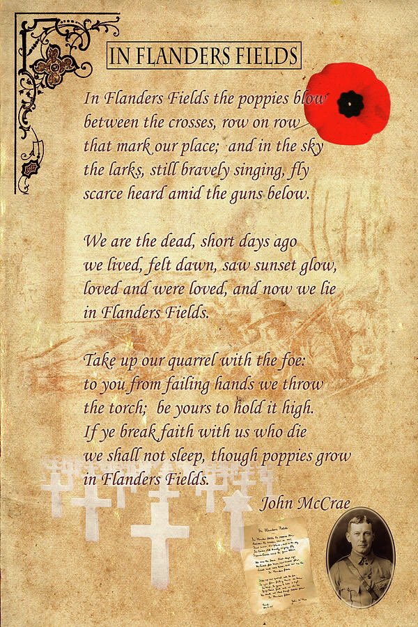 TitaniumQuartet's tweet photo. On this Veteran’s Day and Remembrance Day, we take a moment to thank those who have served our countries in the Armed Forces. We are grateful to those who have served, their families and we remember those who have fallen, making the ultimate sacrifice to protect our freedoms. https://t.co/0hGQXNuHuP