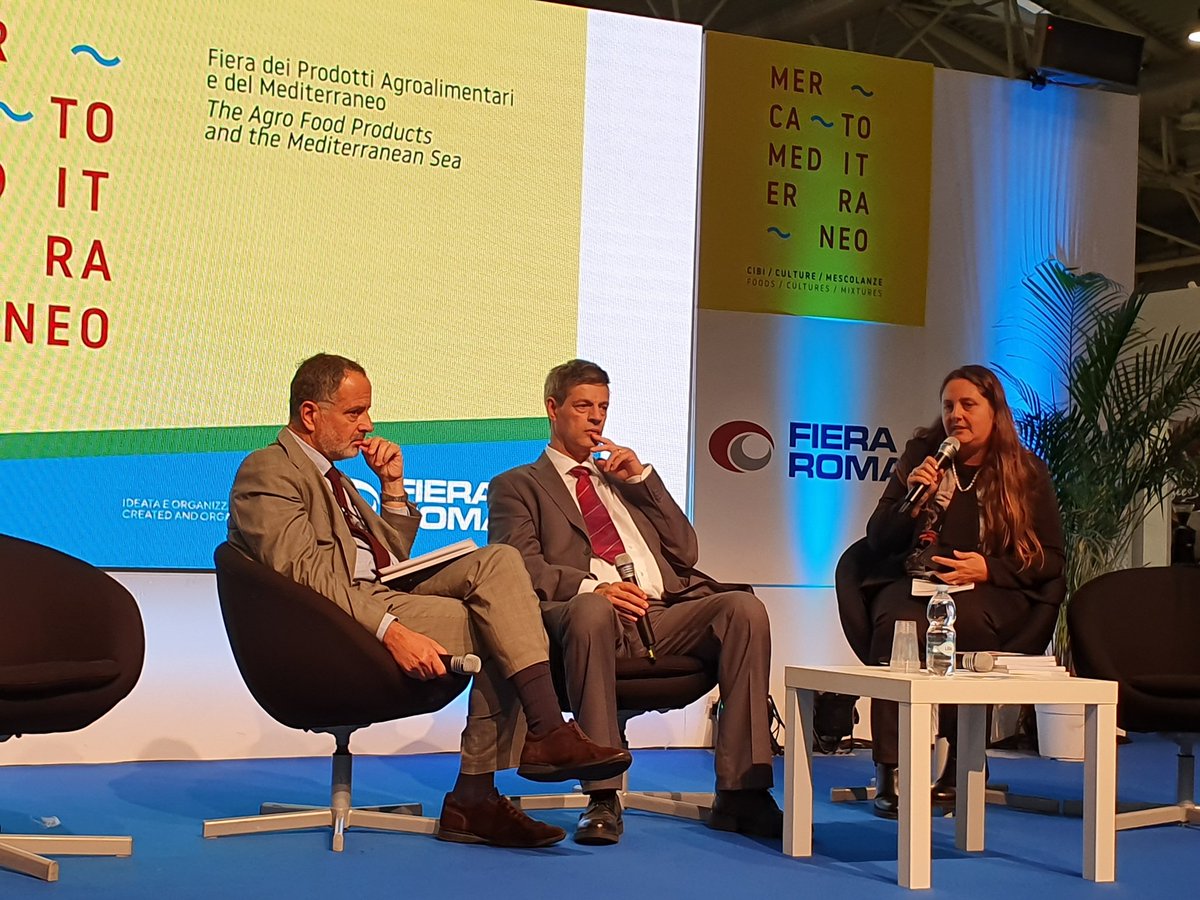 MercatoMediter's tweet photo. Viviana Normando, Ass. Cultura #AnguillaraSabazia Comune Spiga Verde racconta il territorio e l'energia spesa per il rispetto dell'ambiente.

#MercatoMediterraneo #MM19 https://t.co/UH5IM4fuGT