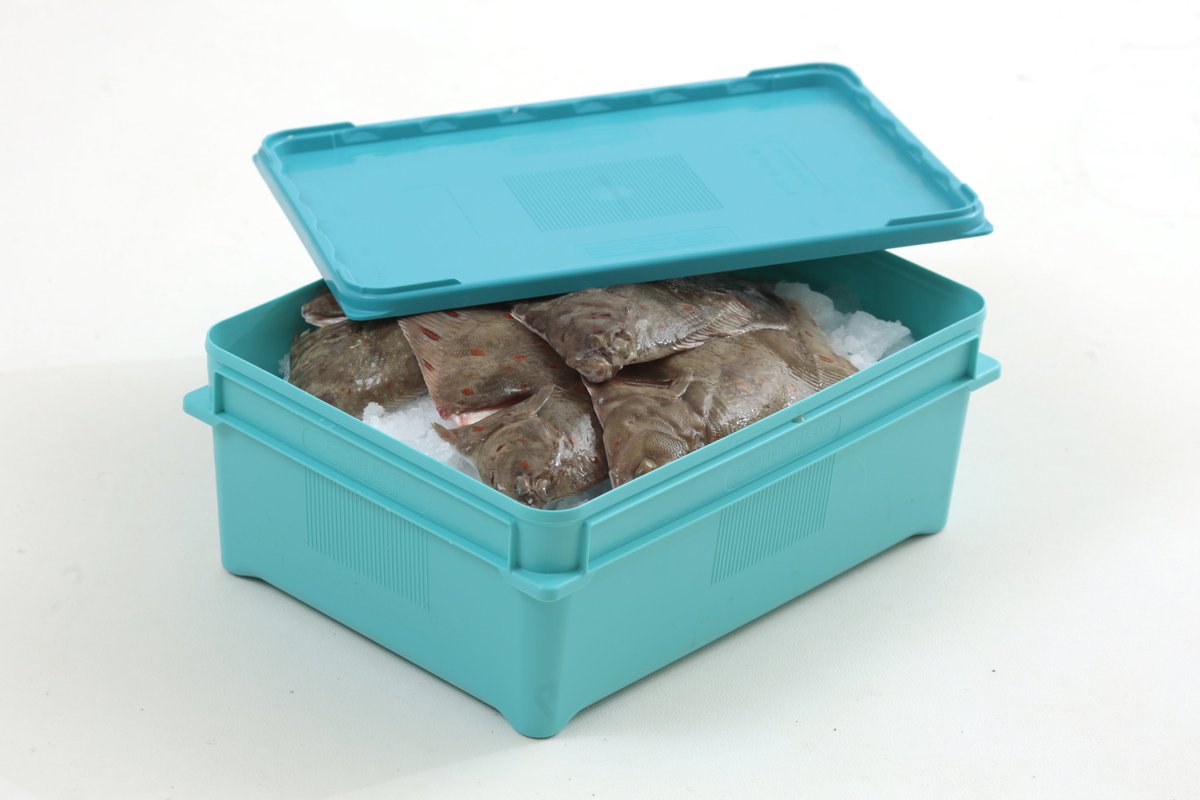 PPSEquipment's tweet photo. Innovation coupled with dedication.

Our patented Re-Fresh box is specifically manufactured to be reused in a typical seafood supply chain for up to 10 years, delivering your catch to retailers in prime condition. 

https://t.co/hIoI1gUtQ5 https://t.co/oATAuUBz4o