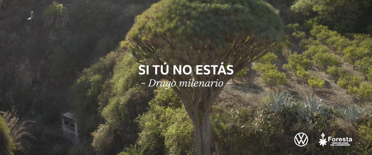 Esta campaña de <a href="/vwcanarias/">Volkswagen Canarias</a> y Foresta, creada por <a href="/thisistwoagency/">CAETSU TWO</a>, centra su atención en la vital importancia de la flora de las Islas Canarias

buff.ly/32ipAVa