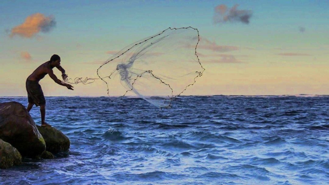 NevisNaturally's tweet photo. Fishing has an art to it .
Fascinating to watch
📸 @NevisNaturally
#nevisfishing #caribbeanfish #caribbeanfishing #localfishermen #linefishing #netfishing #islandfishing #caribbeansky #localfisherman #freshfishdaily #caribbeanhistory #caribbeanpeople #caribbeanbeach https://t.co/RGU1pCe3x4
