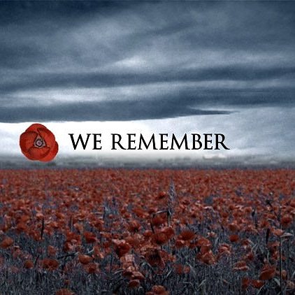 Eco-Turf Ottawa (@ecoturfottawa) on Twitter photo 