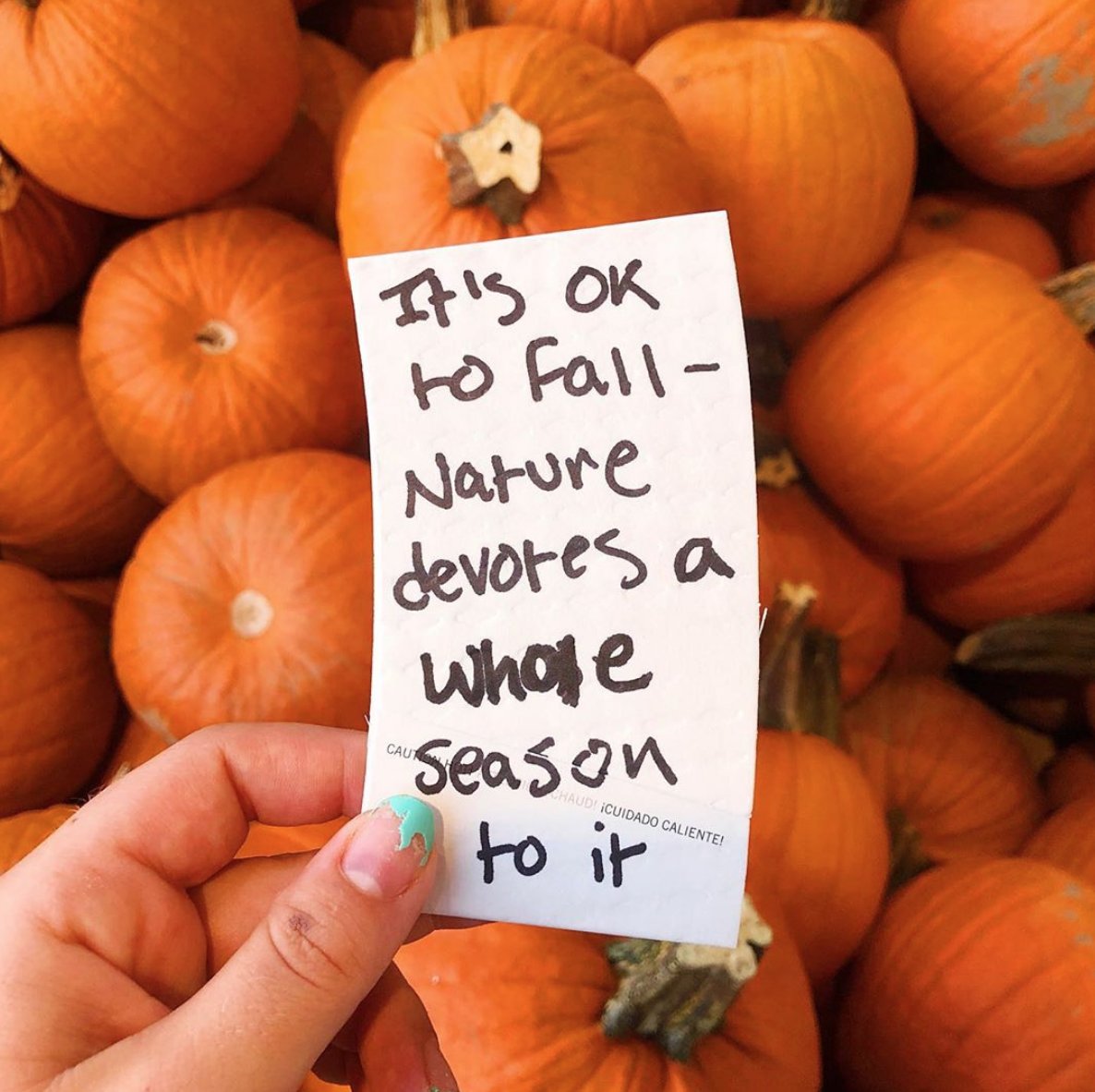 RxBreakupApp's tweet photo. Seasons change, people grow together and apart, life moves on. You will be ok. via sophiajoanshort #breakups #moveon #newbeginnings #RxBreakupApp https://t.co/AqLv5dXGcX