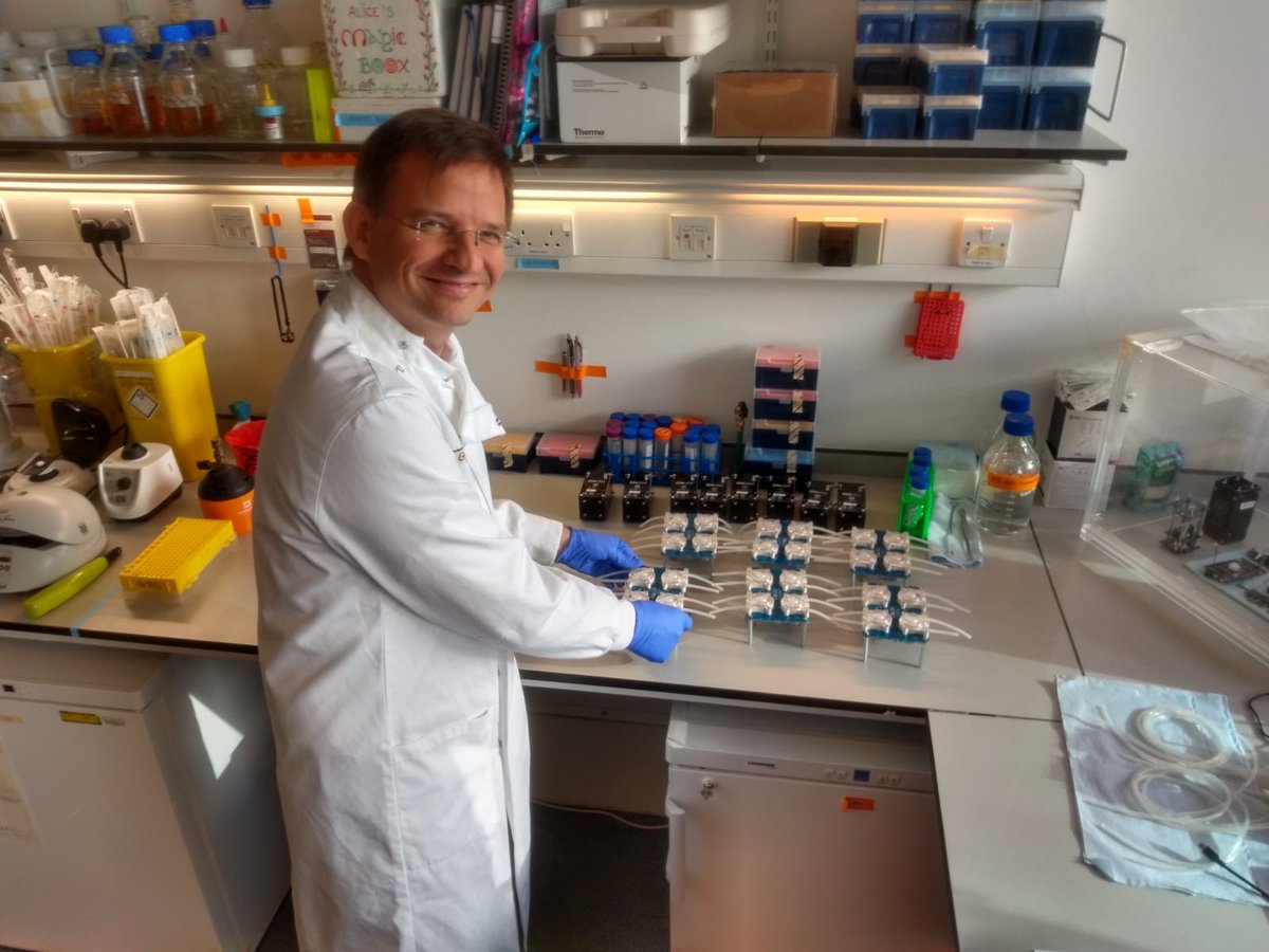 eszter_cs's tweet image. Spotted! The professor in the lab this morning, assembling turbidostats.

@gbstan #synbio #electronicslab #ppe #steadystateinsight