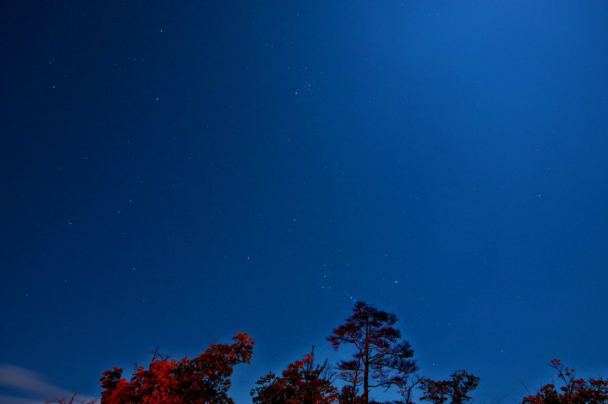 道の駅おばあちゃん市山岡 Hashtag On Twitter