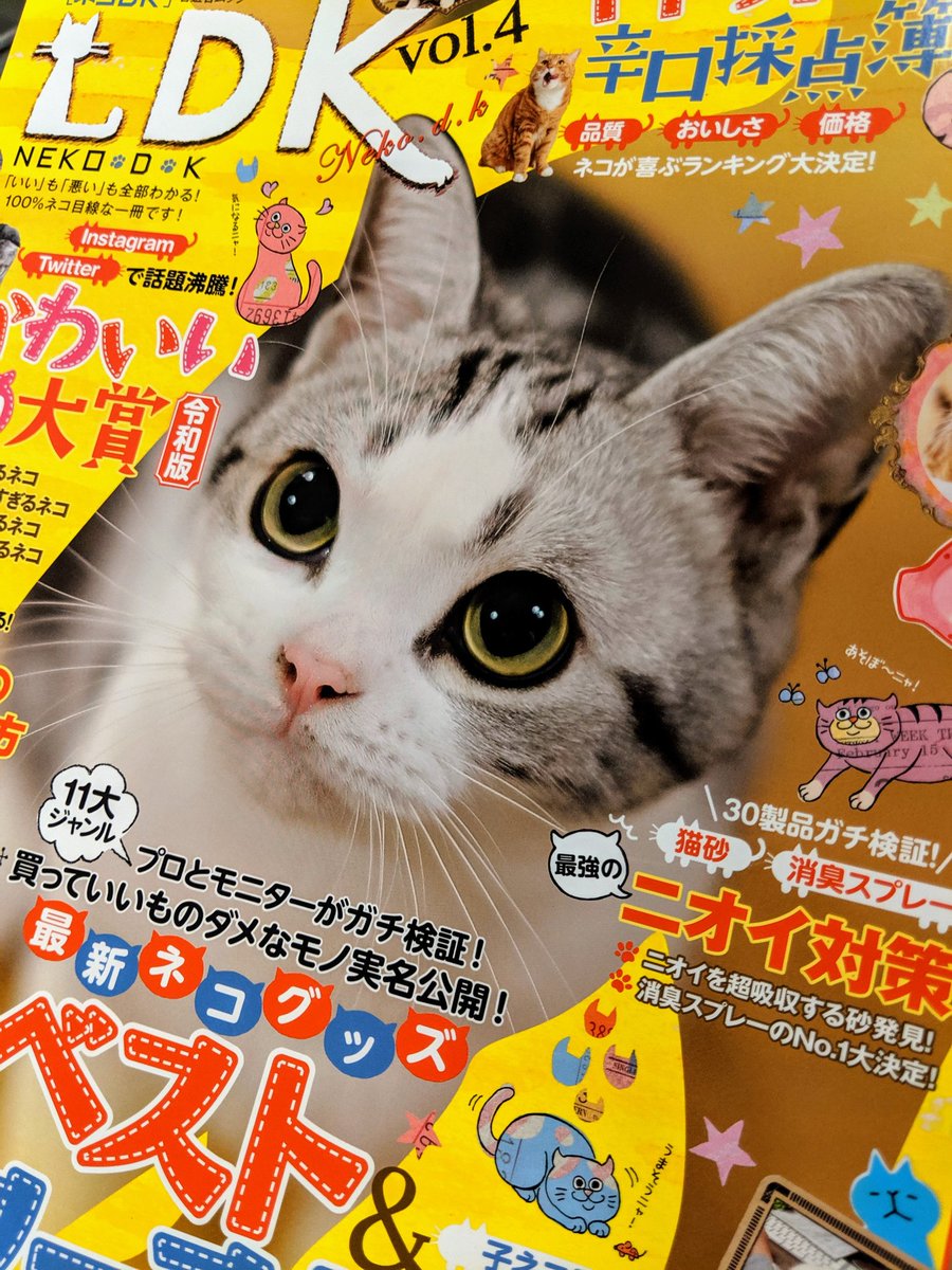 ネコDKのvol4買ったらねこじゃすりがガッカリアイテム認定されていたけど、手はともかく歯ブラシで撫でるのとは大差ないなとは思ってる 