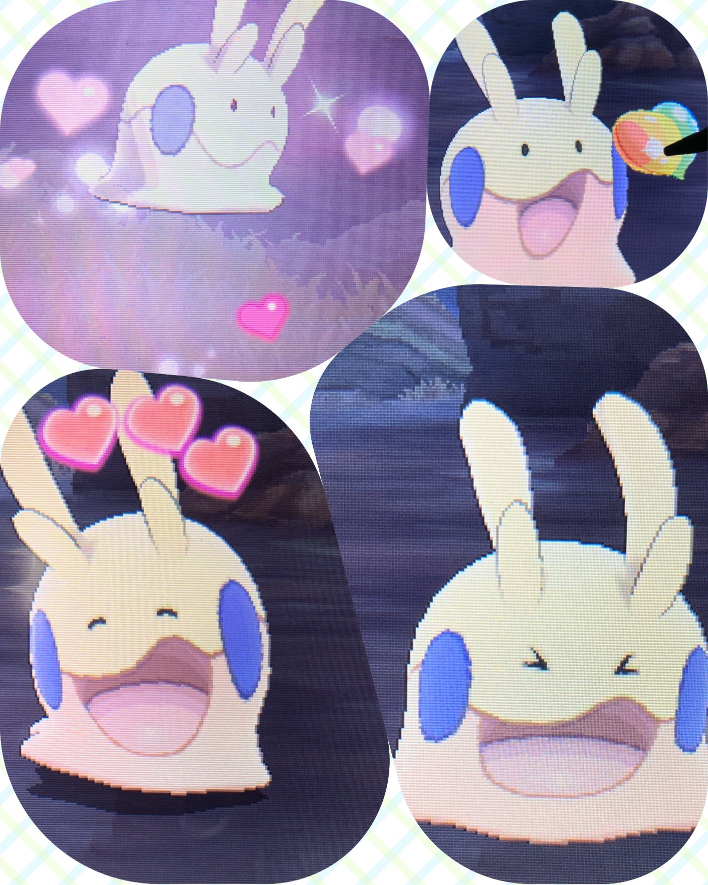 フカマルーン マサル Oapyz Twitter