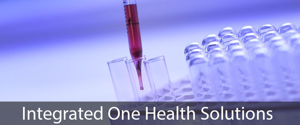 Edinburgh Infectious Diseases (@edin_eid) on Twitter photo Recruiting now - 4 year PhD programme in Edinburgh and Leiden - Integrated One Health Solutions - Closing date 28 November 2019 - all details and to apply here - ow.ly/Q6Ag50x7E6w <a href="/roslininstitute/">The Roslin Institute</a> @EdinUni_MeetCIR <a href="/BioMedSciEd/">Biomed Sci Edinburgh</a> Recruiting now - 4 year PhD programme in Edinburgh and Leiden - Integrated One Health Solutions - Closing date 28 November 2019 - all details and to apply here - ow.ly/Q6Ag50x7E6w <a href="/roslininstitute/">The Roslin Institute</a> @EdinUni_MeetCIR <a href="/BioMedSciEd/">Biomed Sci Edinburgh</a>