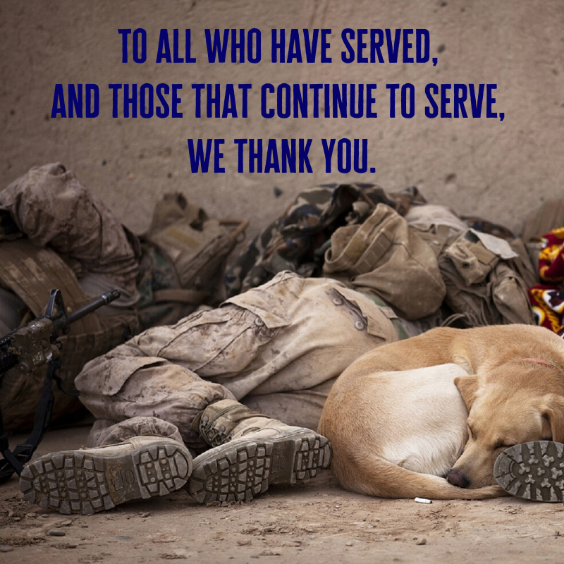 Red_Hydrant_Spa's tweet photo. To all who have served, and those that continue to serve, we thank you.⁣
⁣
Have a blessed #VeteransDay! 🇺🇸

#militarydogs #dogsoftwitter https://t.co/mF1JZpzNzB