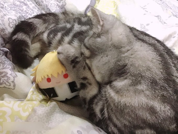 ウルク民になりたい猫 