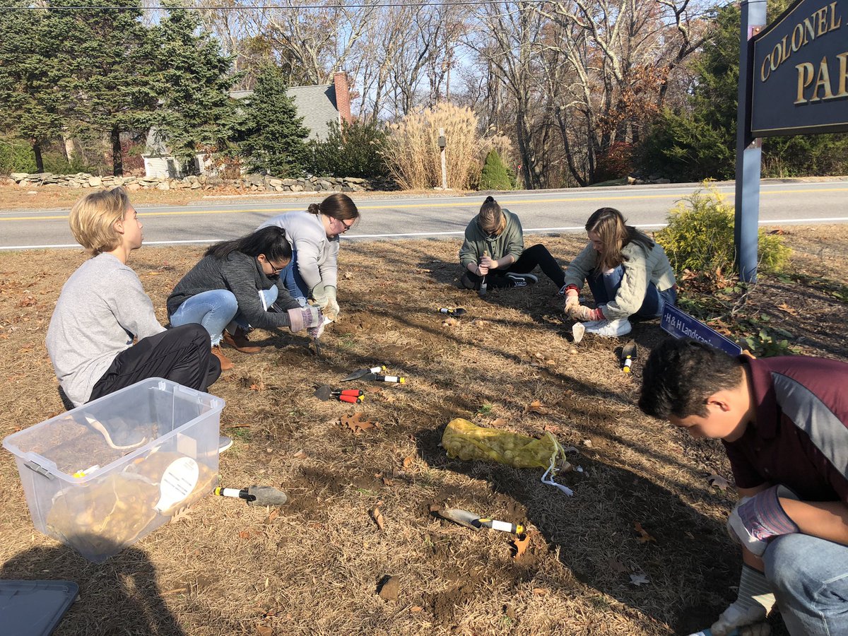 lhsplant's tweet photo. Ag II Soils class planting daffodils to help the Ledyard Beautification committee. There goal is to plant 3000 bulbs this fall!!! @LedyardAgriSci https://t.co/8B20RzU8LD