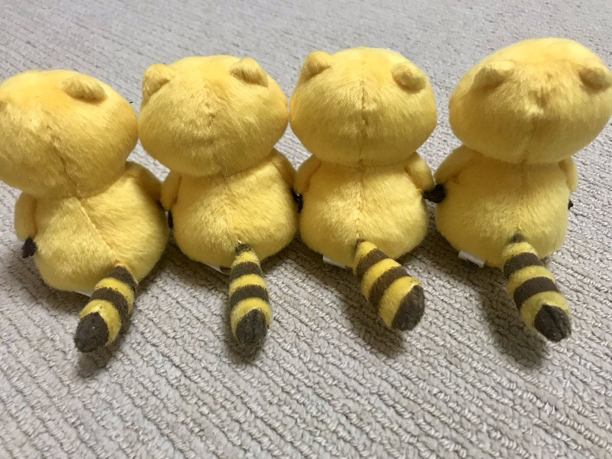 rrascal05's tweet image. simple is best しっぽ💛

#ラスカル 
#ラスカルしっぽの日