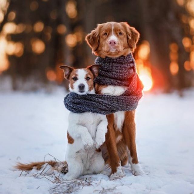 Good morning and Happy Monday!
Drive safely, keep warm and enjoy the snow ❄️ #Weathergram #winterwonderland #wintervibes #petparenthood #dogmom #canada🇨🇦 #niagararegion #lakeontario #snowday ift.tt/2XdoHwl