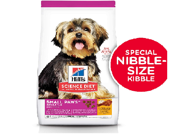Pet Everyday tweet media
