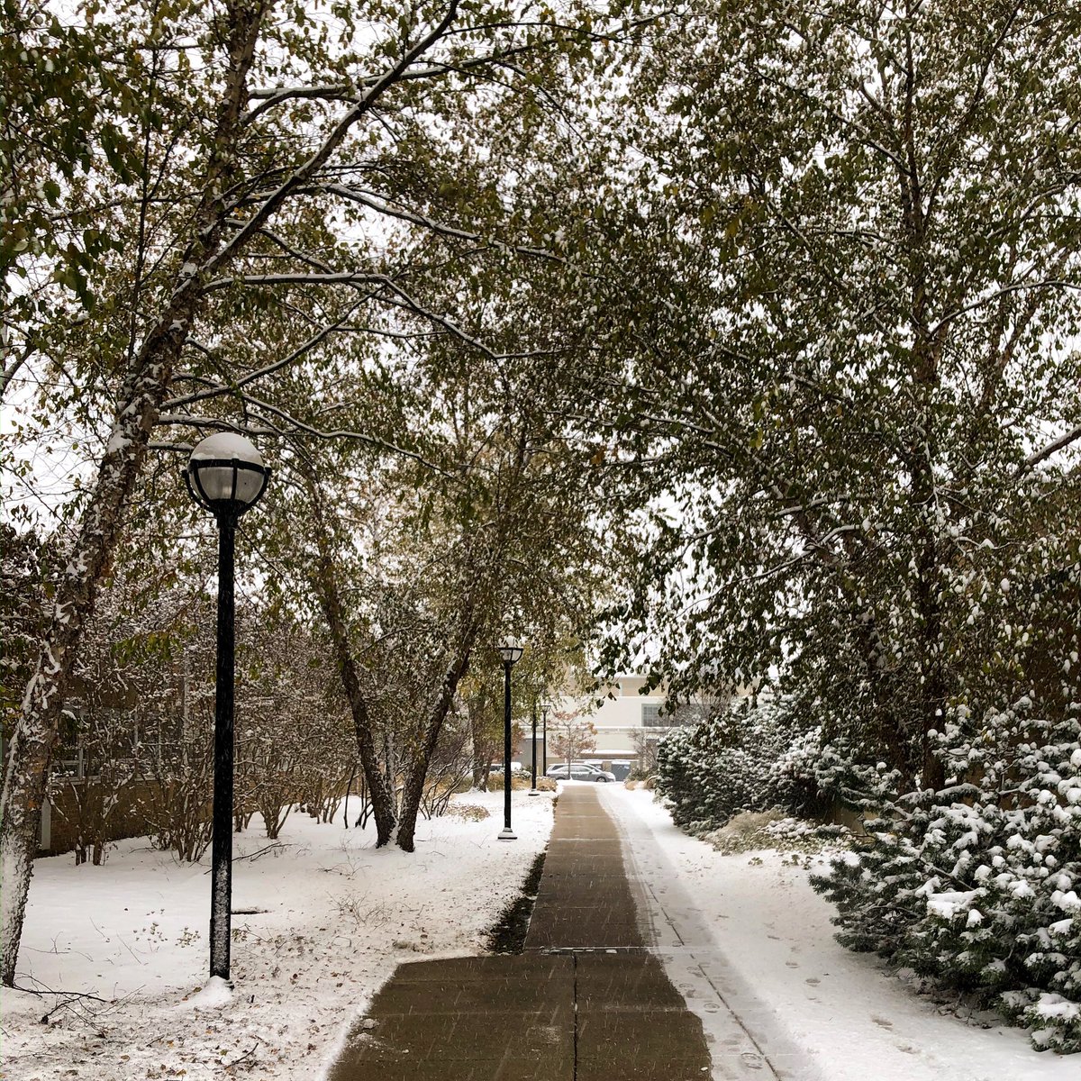Name At Michigan On Twitter Fall On Friday Winter On Monday Which Is Your Favorite Ann Arbor The Colors Or The Powder