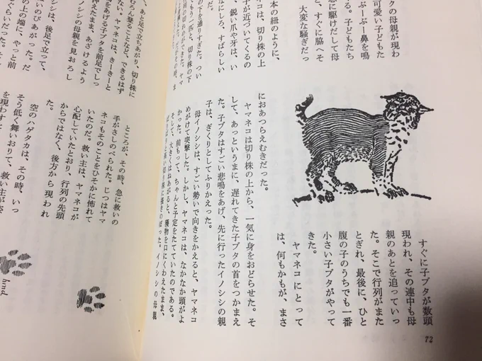 さて、野生動物が野生に帰るのはだいたい恋をした時である。イノシシの女の子の匂いがしたので彼は森へ帰って行き、セクロスして子づくりした。生き物の性である。そんな幸せいっぱいの家族だったがヤマネコが子ブタをさらう!シートン動物記では野生の掟は容赦しないのだ! 