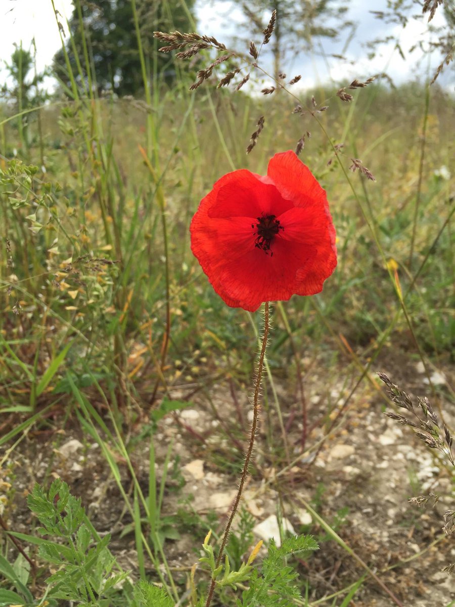 Matt Worster (@mattmpw) on Twitter photo 