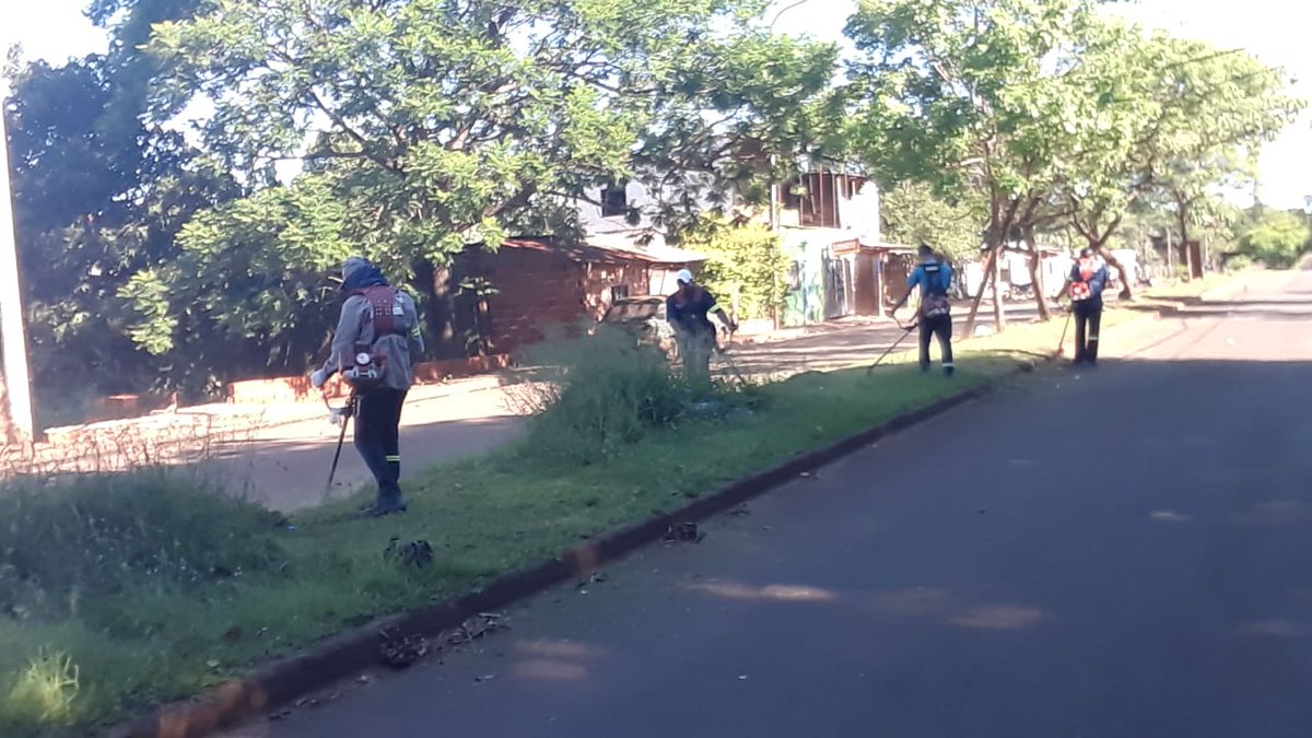 Apoyoygestion1's tweet photo. Tarea de desmalezamiento sobre la avenida 115 @muniposadas 
#GestionJoaquinLosada https://t.co/a33wM9iscT